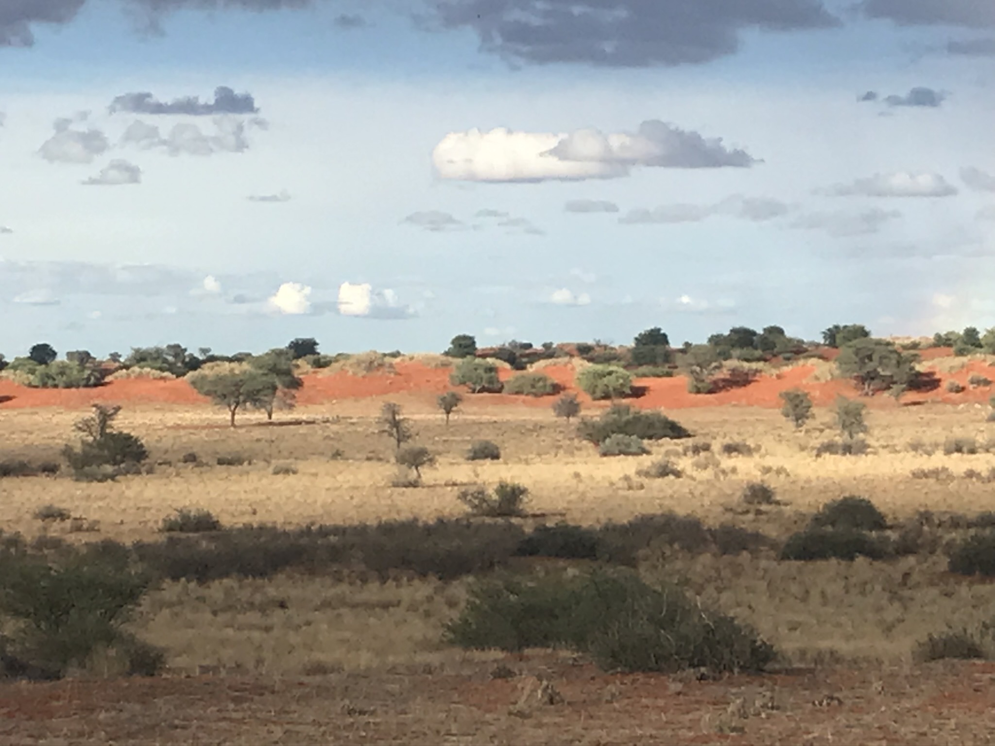 Kalahari Namibië