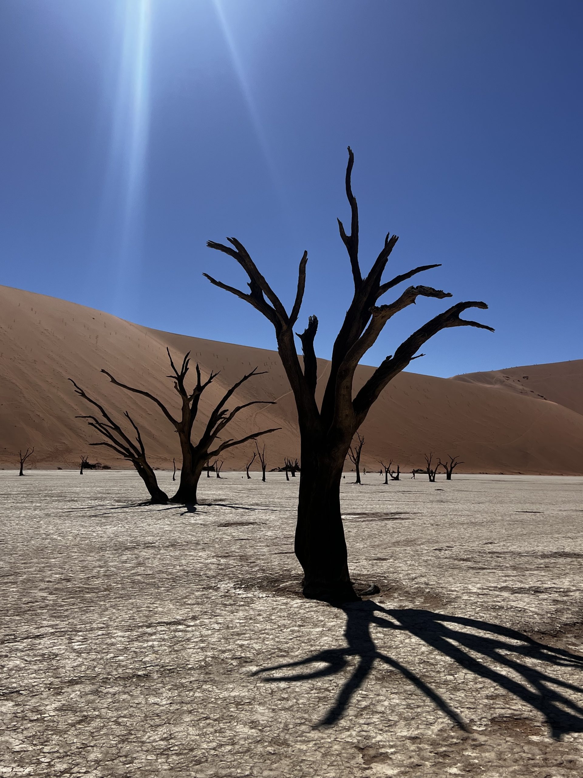 Deadvlei Namibia