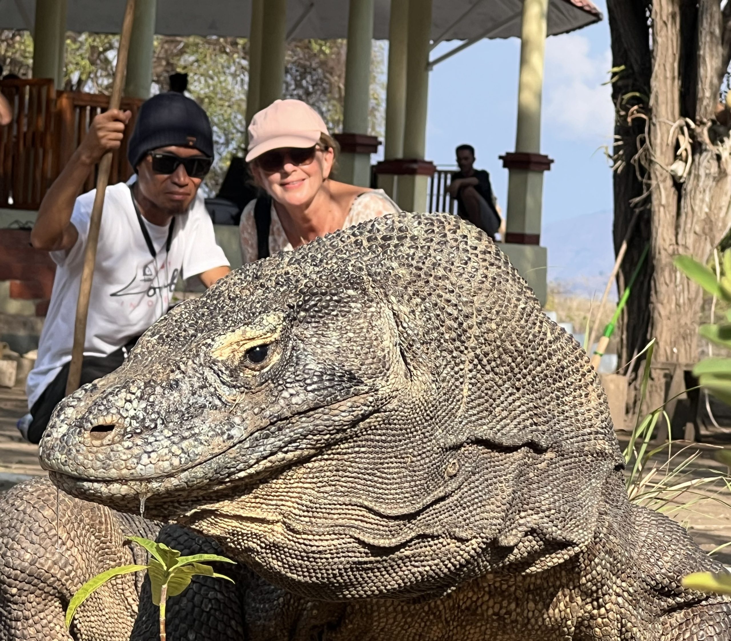 even poseren met de komodovaraan man en vrouw achter een komodovaraan