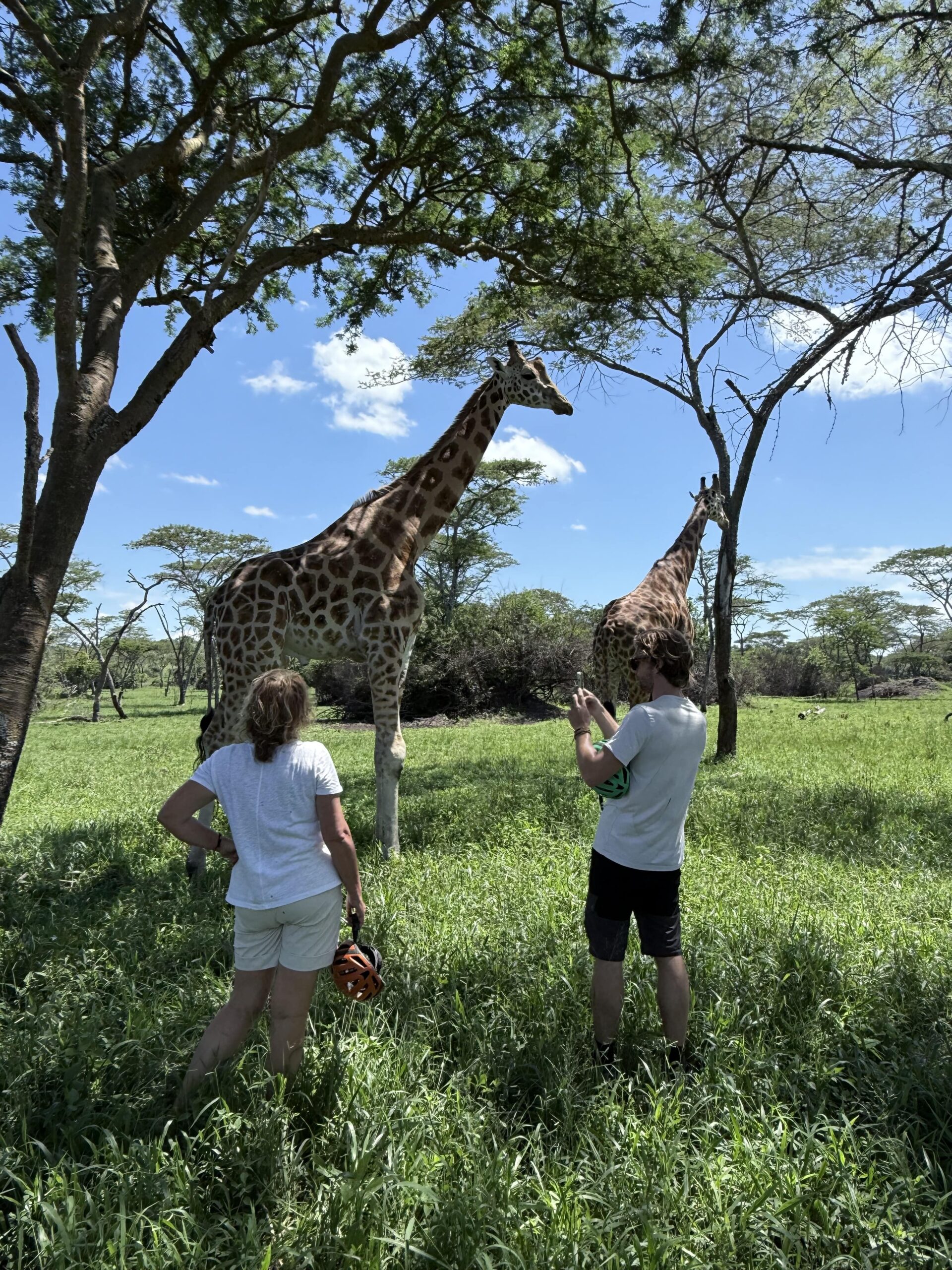 Naast de giraffes in Lake Mburo