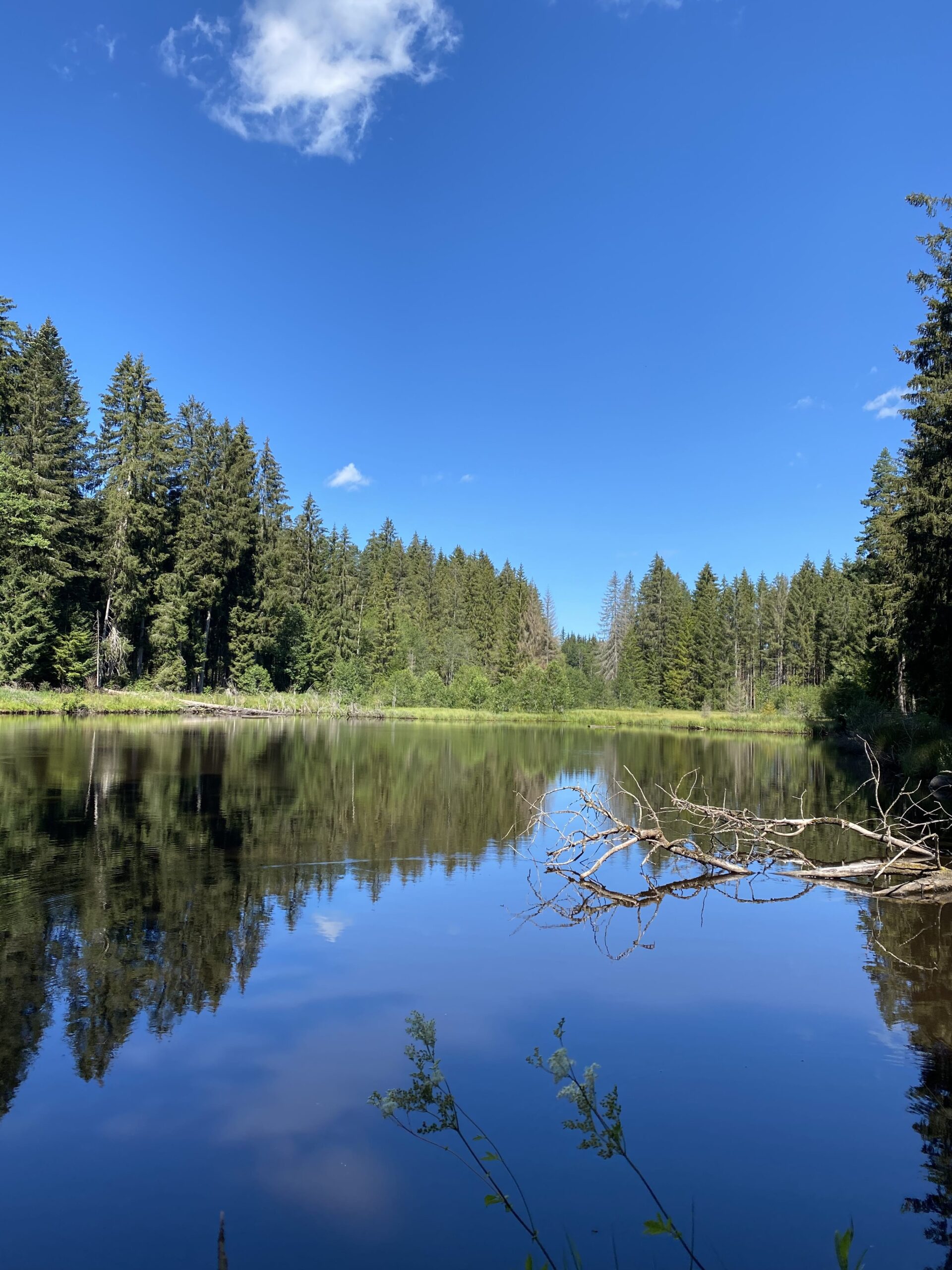Titisee
