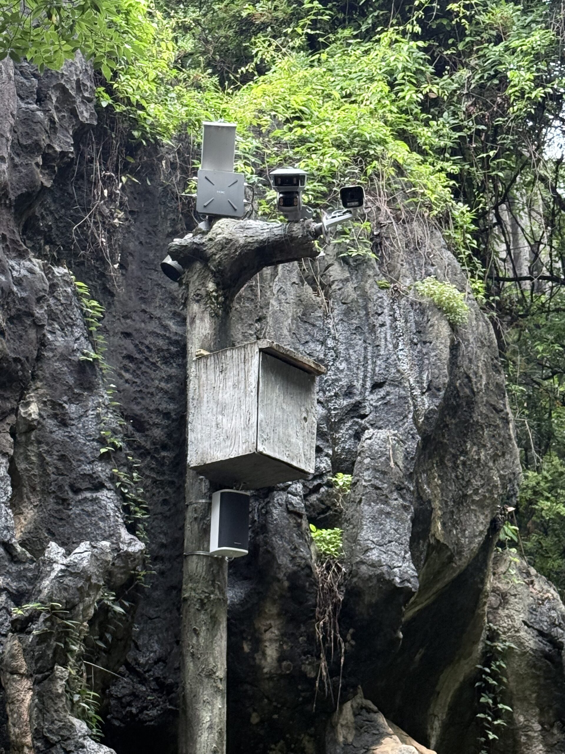 Camera in het Stenen woud China