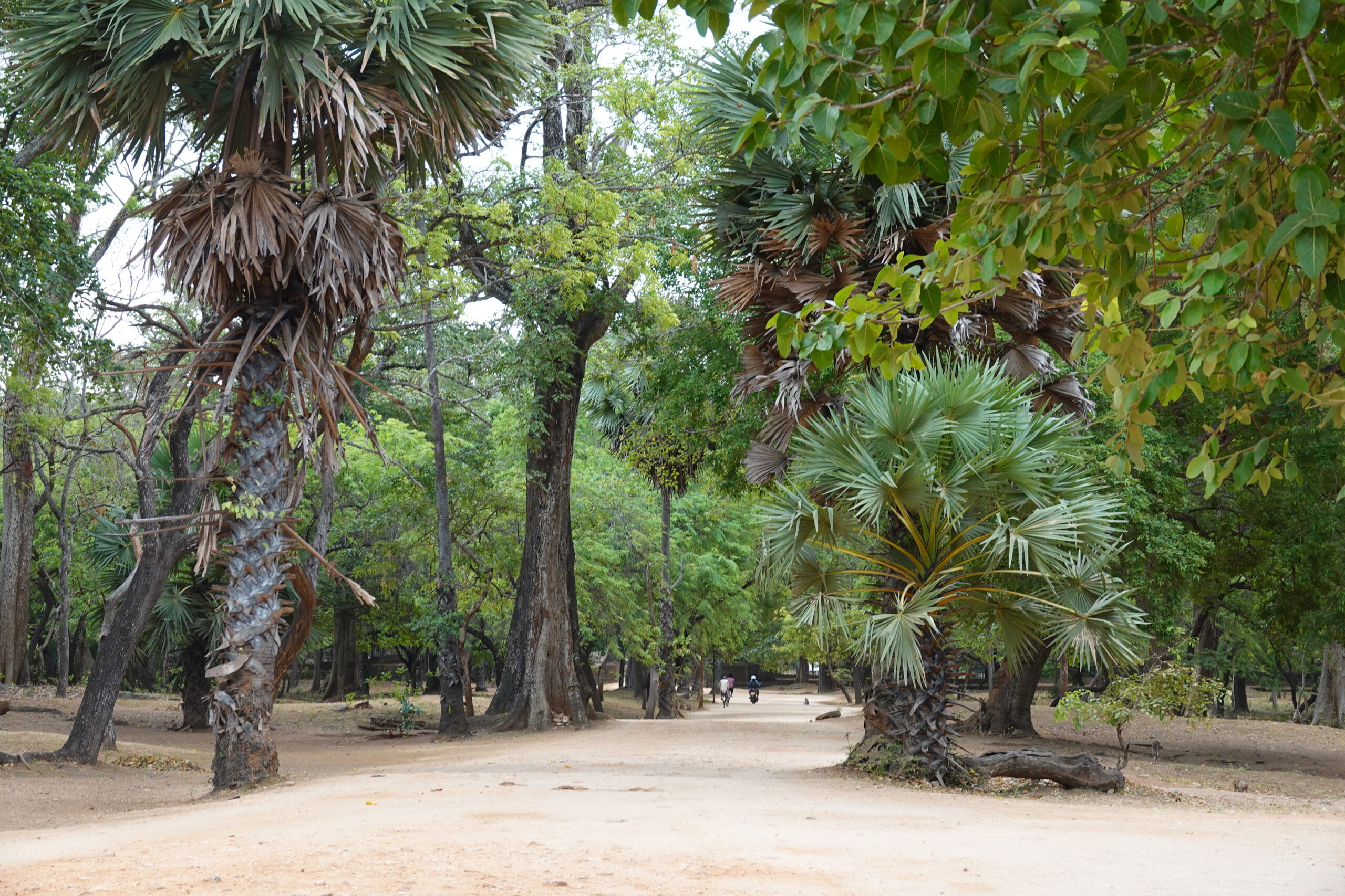 Polonnaruwa