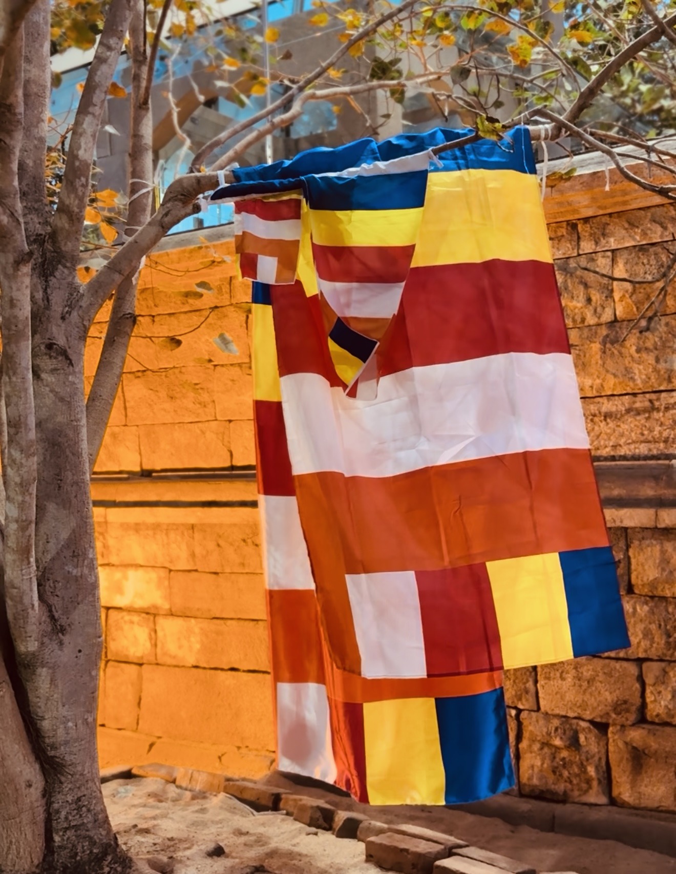 De boeddhistische vlag De boeddhistische vlag