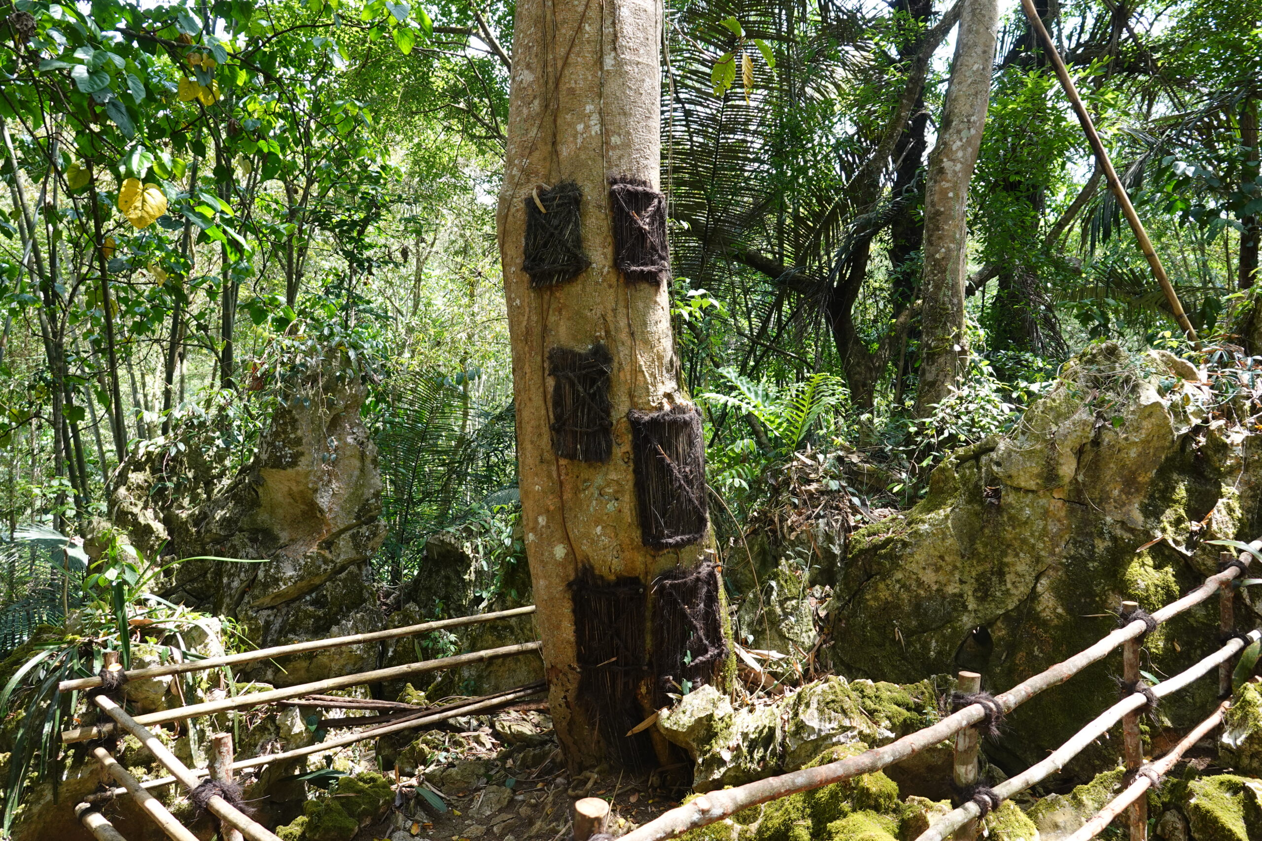Baby grave Sulawesi Baby grave op Sulawesi